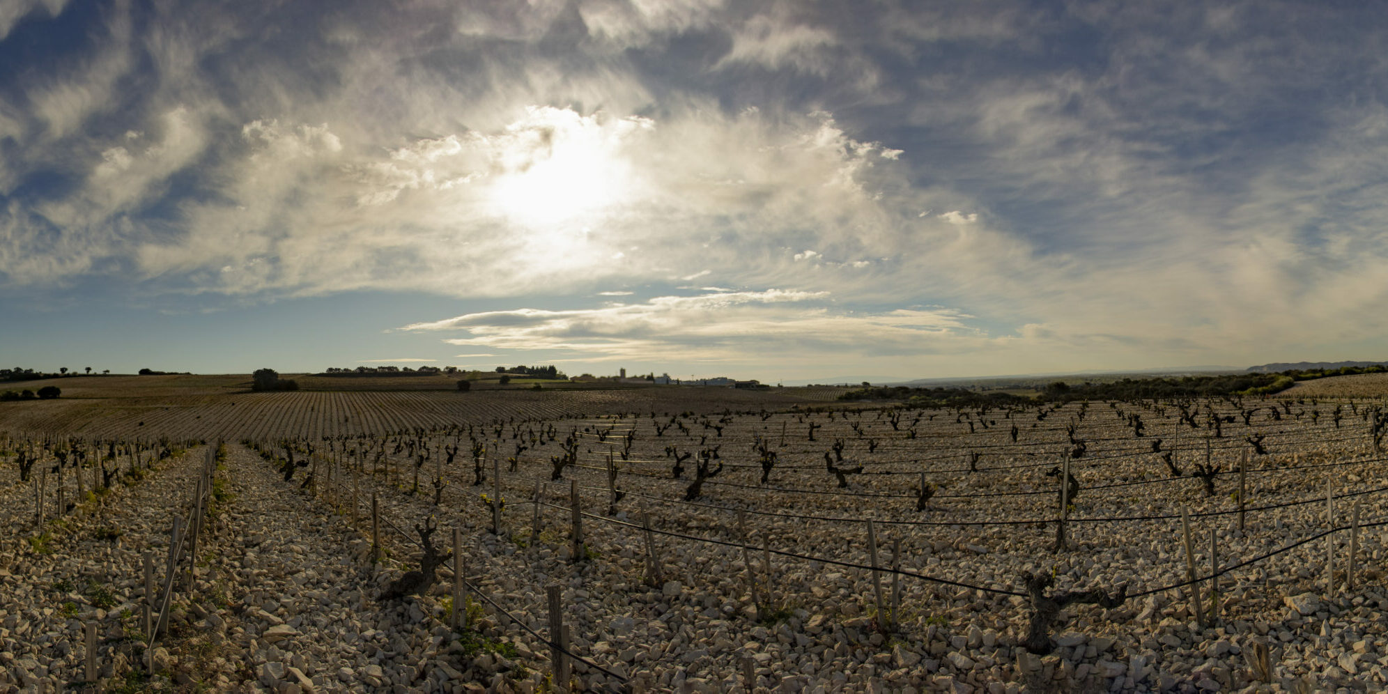 Panorama sans titre-1